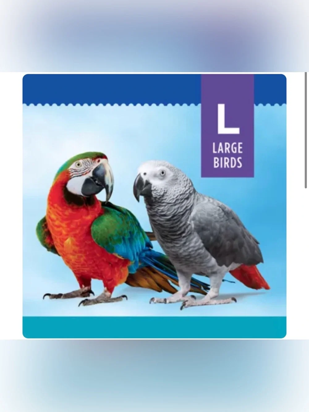 All Living Things® Knots & Blocks Bird Toy